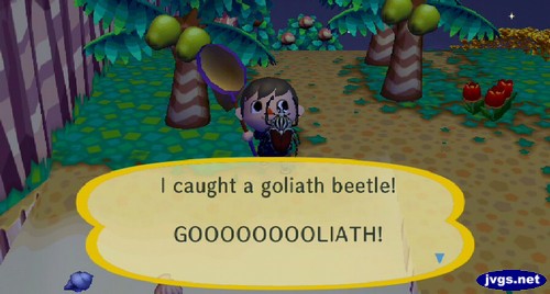 I caught a goliath beetle! GOOOOOOOOLIATH!