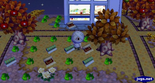 My haul of spooky Halloween furniture in Animal Crossing: City Folk (ACCF).