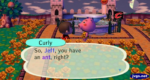 Curly: So, Jeff, you have an ant, right?
