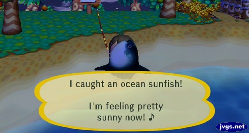 I caught an ocean sunfish! I'm feeling pretty sunny now!