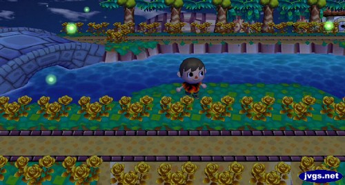 Several fireflies near the river in Animal Crossing: City Folk.