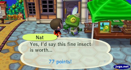 Nat: Yes, I'd say this fine insect is worth... 77 points!