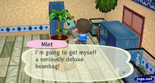 Mint: I'm going to get myself a seriously deluxe beanbag!