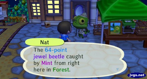 Nat: The 64-point jewel beetle caught by Mint from right here in Forest.