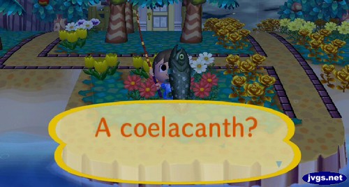 A coelacanth?