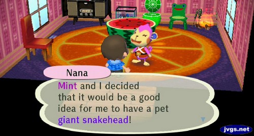 Nana: Mint and I decided that it would be a good idea for me to have a pet giant snakehead!