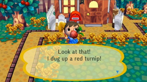 Look at that! I dug up a red turnip!