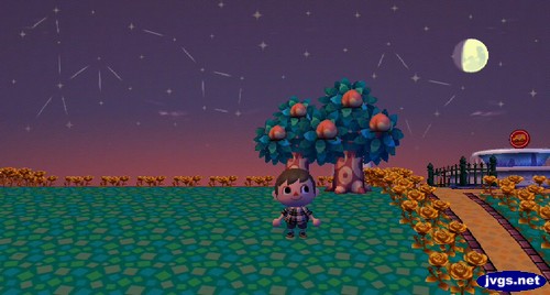 The pretty evening sky in Animal Crossing: City Folk.