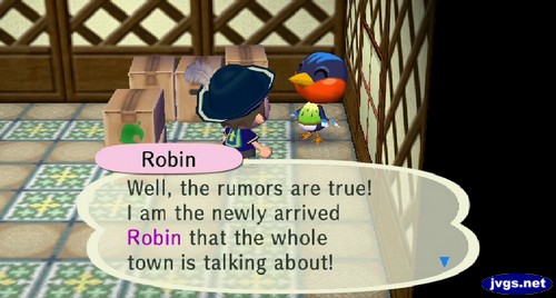 Robin: Well, the rumors are true! I am the newly arrived Robin that the whole town is talking about!