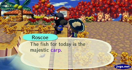 Roscoe: The fish for today is the majestic carp.