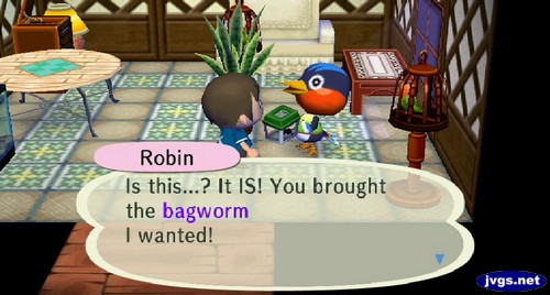 Robin: Is this...? It IS! You brought the bagworm I wanted!