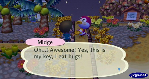 Midge: Oh...! Awesome! Yes, this is my key, I eat bugs!