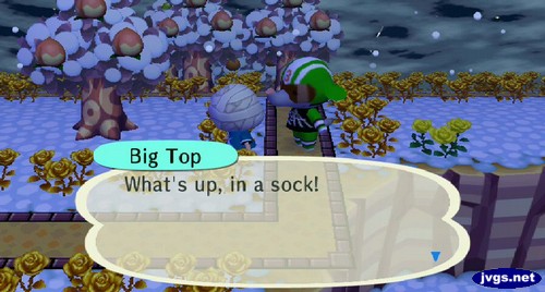 Big Top: What's up, in a sock!