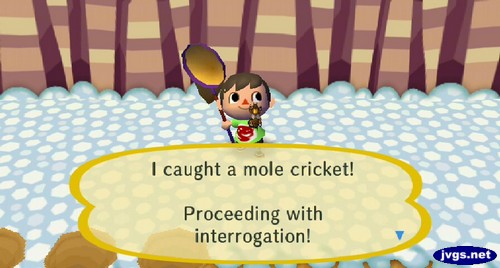 I caught a mole cricket! Proceeding with interrogation!