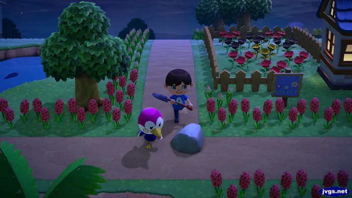 JVGS Jeff on X: Rizzo is dead? Where exactly is this island, anyway? # animalcrossing #acnh  / X