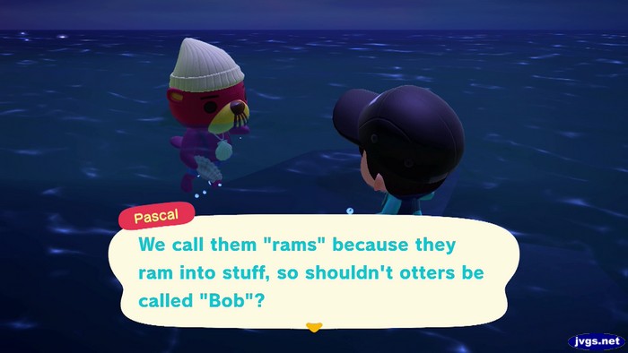 Pascal: We call them rams because they ram into stuff, so shouldn't otters be called Bob?