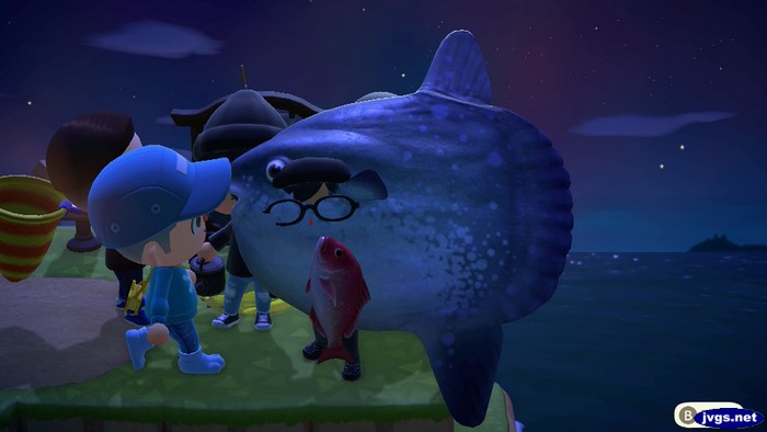 An ocean sunfish obscures the view of Alex's face, but you can still see his glasses.