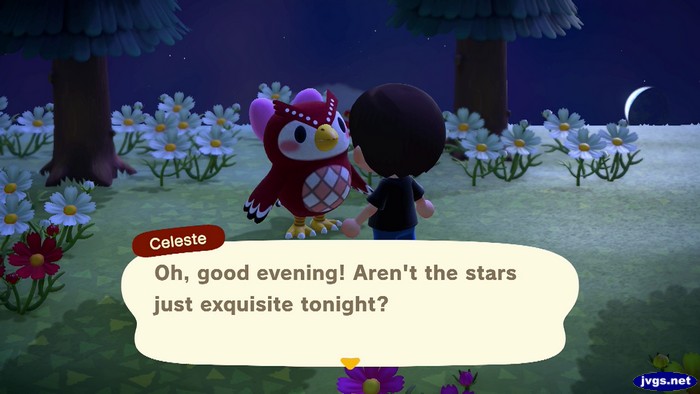 Celeste: Oh, good evening! Aren't the stars just exquisite tonight?