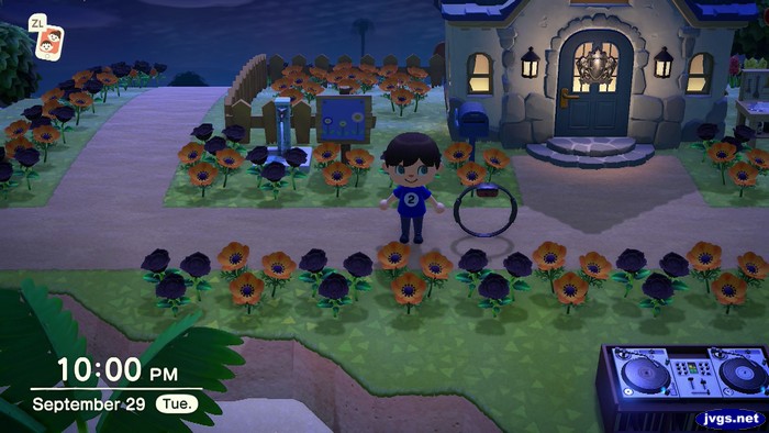 The Ring-Con item in Animal Crossing: New Horizons.