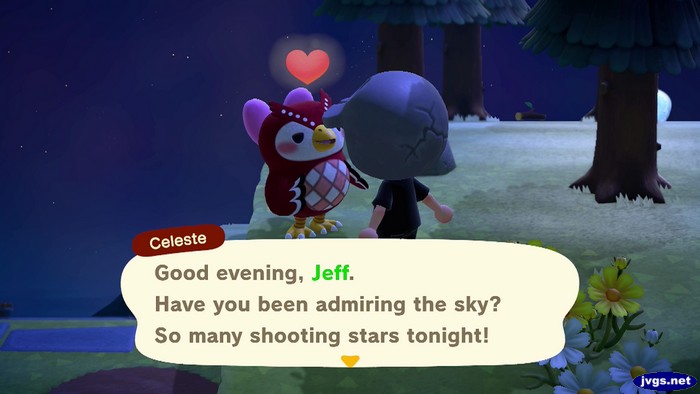 Celeste: Good evening, Jeff. Have you been admiring the sky? So many shooting stars tonight!
