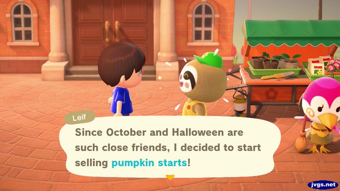 Leif: Since October and Halloween are such close friends, I decided to start selling pumpkin starts!