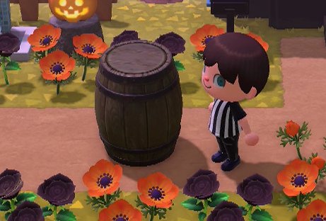 The pirate barrel from Gullivarrr in Animal Crossing: New Horizons.