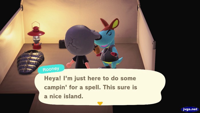 Rooney, at the campsite: Heya! I'm just here to do some campin' for a spell. This sure is a nice island.