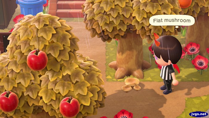 Finding a flat mushroom on the ground in Animal Crossing: New Horizons.