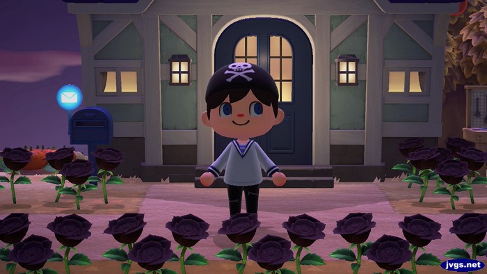 Jeff tries on the pirate bandanna in Animal Crossing: New Horizons.