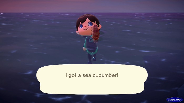 I got a sea cucumber!
