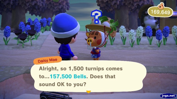 Daisy Mae: Alright, so 1,500 turnips comes to...157,500 bells. Does that sound OK to you?