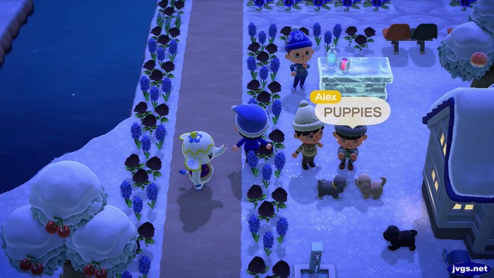 My 'puppy garden' in Animal Crossing: New Horizons.
