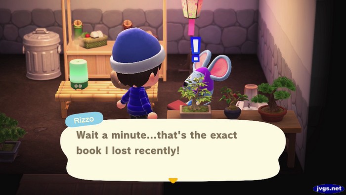 Rizzo: Wait a minute...that's the exact book I lost recently!