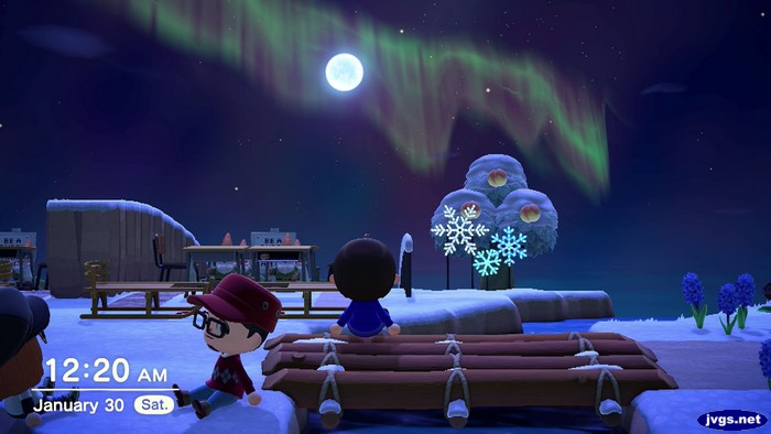 Admiring the northern lights in ACNH.