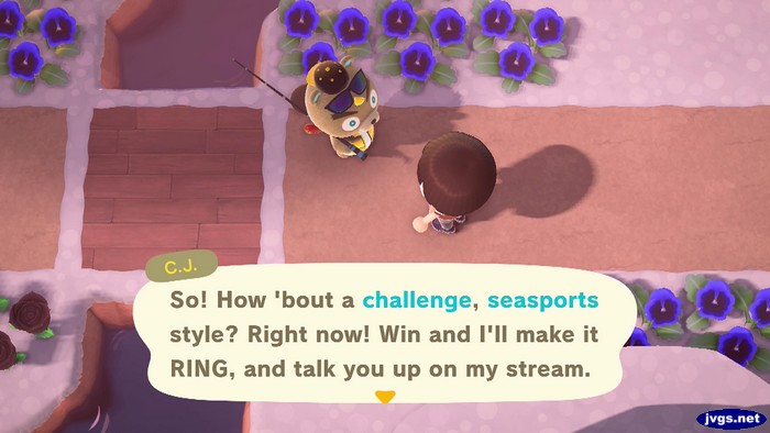 C.J.: So! How 'bout a challenge, seasports style? Right now! Win and I'll make it RING, and talk you up on my stream.