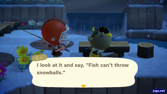 C.J.: I look at it and say, Fish can't throw snowballs.