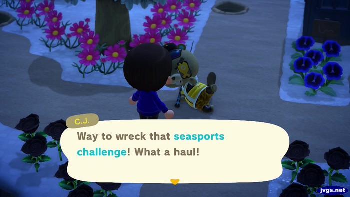 C.J.: Way to wreck that seasports challenge! What a haul!
