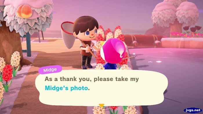 Midge: As a thank you, please take my Midge's photo.