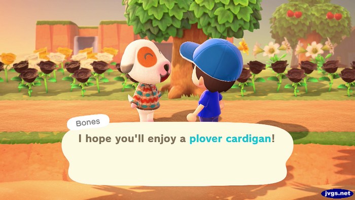 Bones: I hope you'll enjoy a plover cardigan!