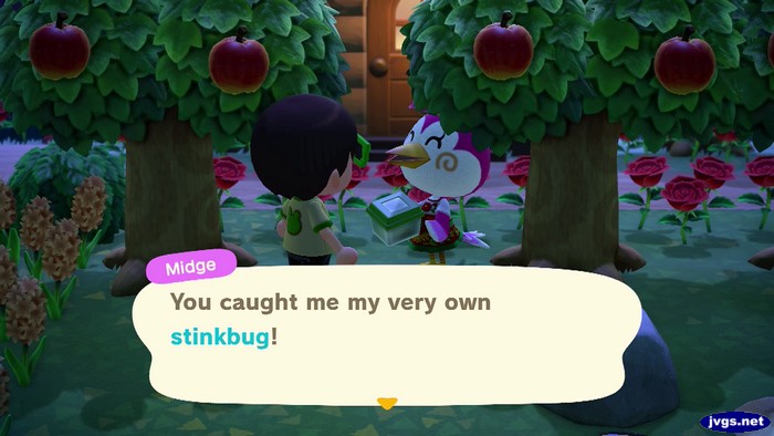 Midge: You caught me my very own stinkbug!