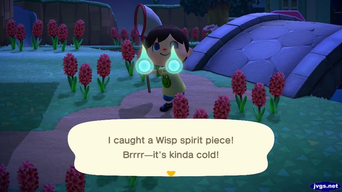 I caught a Wisp spirit piece! Brrrr--it's kinda cold!