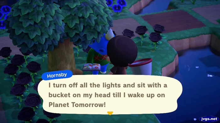 Hornsby: I turn off all the lights and sit with a bucket on my head till I wake up on Planet Tomorrow!