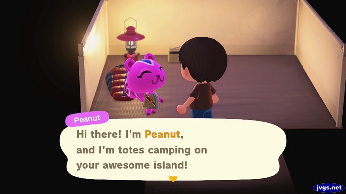 Peanut, camping: Hi there! I'm Peanut, and I'm totes camping on your awesome island!