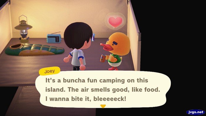 Joey, at the campsite: It's a buncha fun camping on this island. The air smells good, like food. I wanna bite it, bleeeeeck!