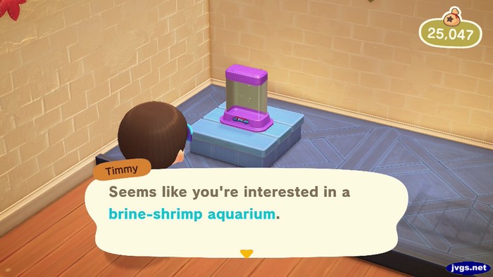 Timmy: Seems like you're interested in a brine-shrimp aquarium.