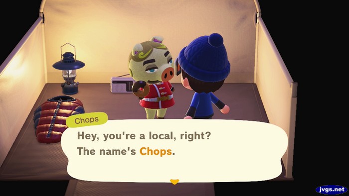Chops, at the campsite: Hey, you're a local, right? The name's Chops.