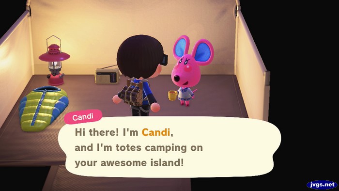 Candi: Hi there! I'm Candi, and I'm totes camping on your awesome island!