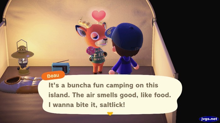 Beau, at the campsite: It's a buncha fun camping on this island. The air smells good, like food. I wanna bite it, saltlick!