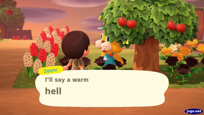 Zipper: I'll say a warm hell