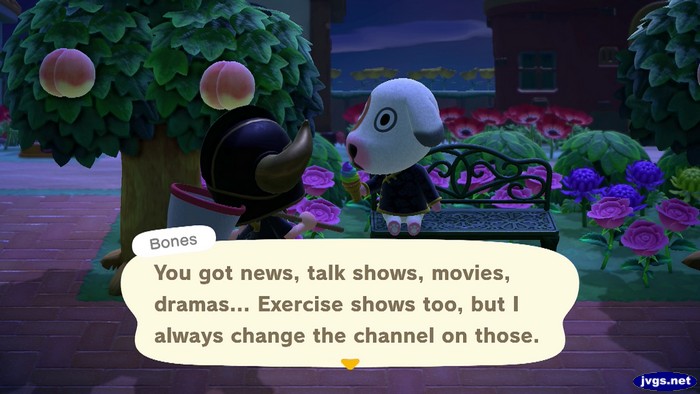 Bones: You got news, talk shows, movies, dramas... Exercise shows too, but I always change the channel on those.
